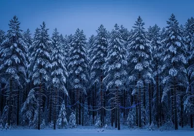 Imagen PNG para descargar